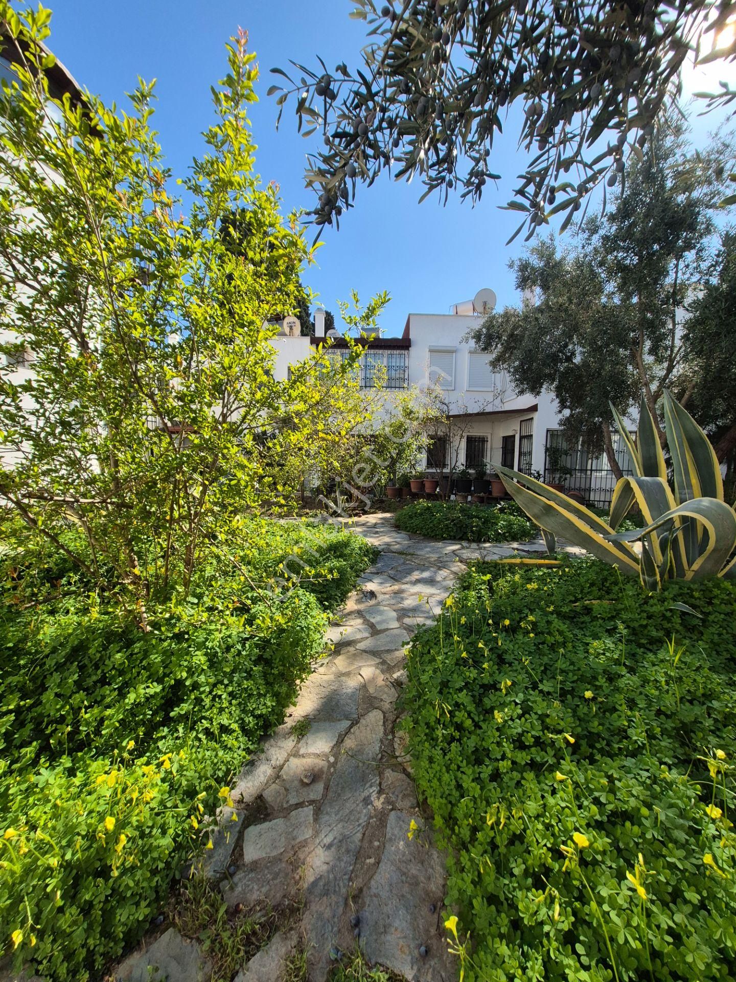 Turgutreis Merkezde Satılık 1+1 Bahçe Katı Daire - Görsel 18