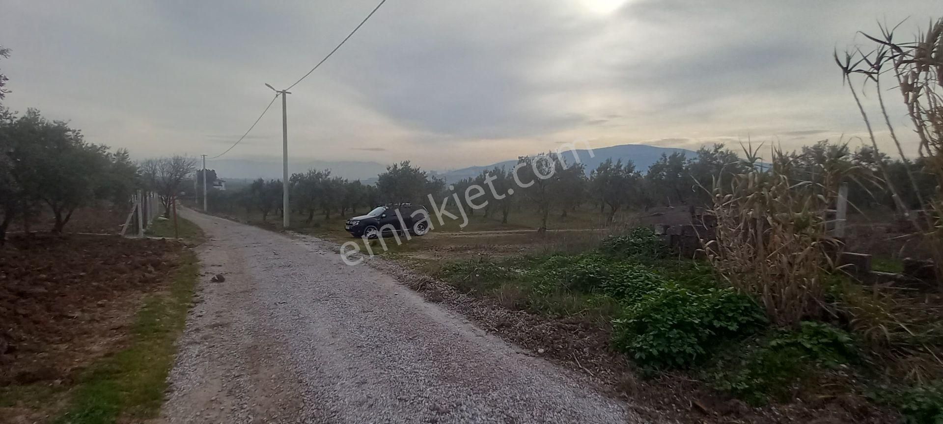 Akhisar Doğuca Da Satılık 1.050 M2 Dubleks İmarlı Arsalar 3.995.000 Tl - Görsel 10