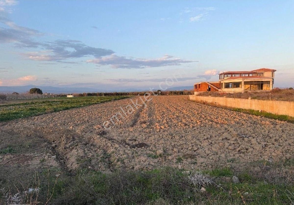 Kınık Yayakent Satılık Tarla Bergama Soma Yolu Asfalta Sıfır