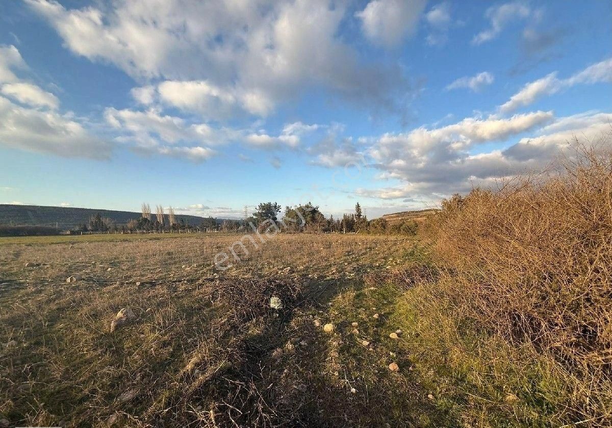 Kınık Musacalı Satılık Tarla 16.000 M² Satılık Tarla