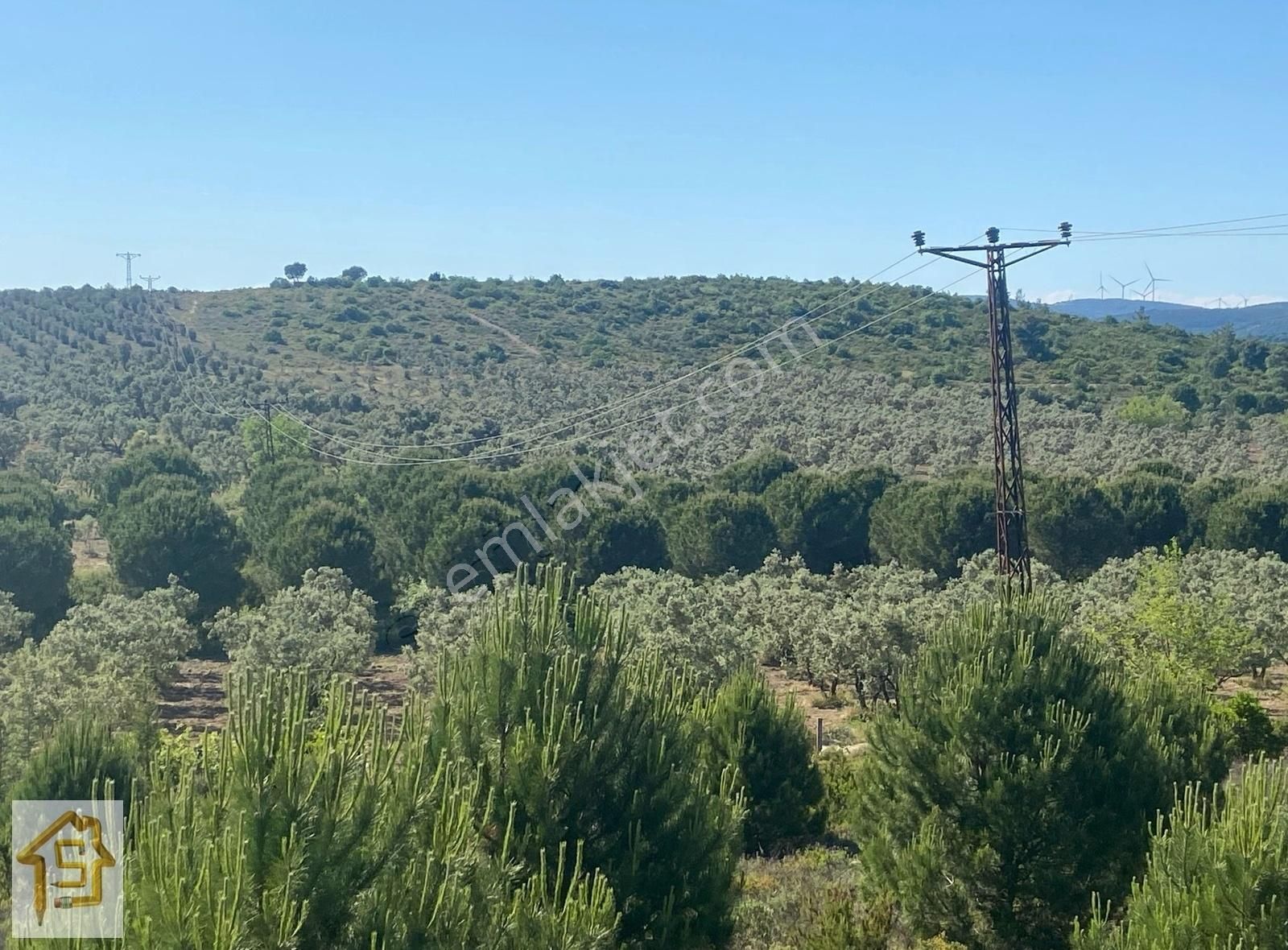 Armutlu Fıstıklı Köyü (Yalı) Satılık Zeytinlik Soylu'dan Fıstıklıda 20 Dönüm Elektrik Su Yolu Mevcut Zeytinlik