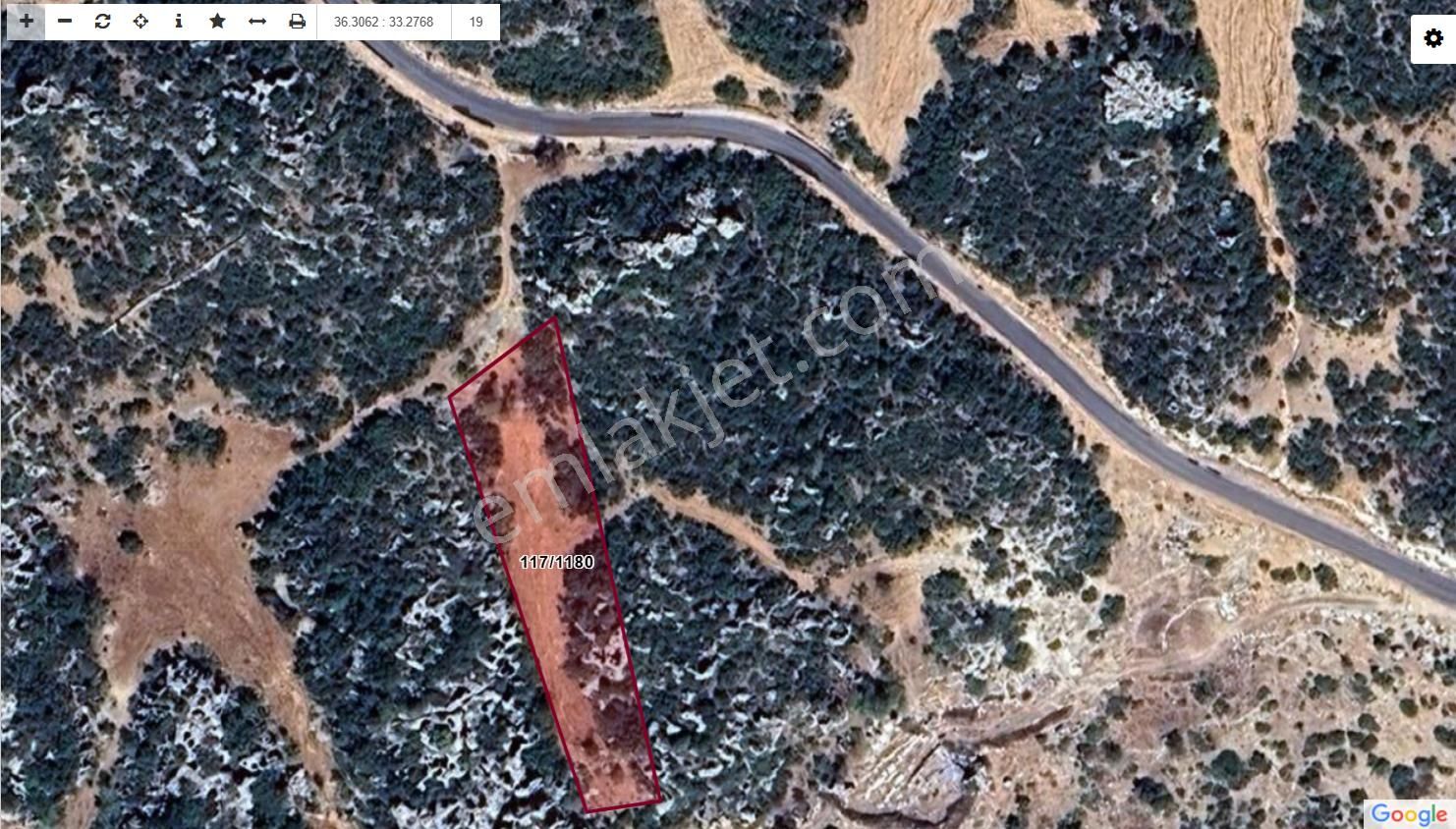 Müstakil Tapu 1775 M² Asfalt Yol - Görsel 9