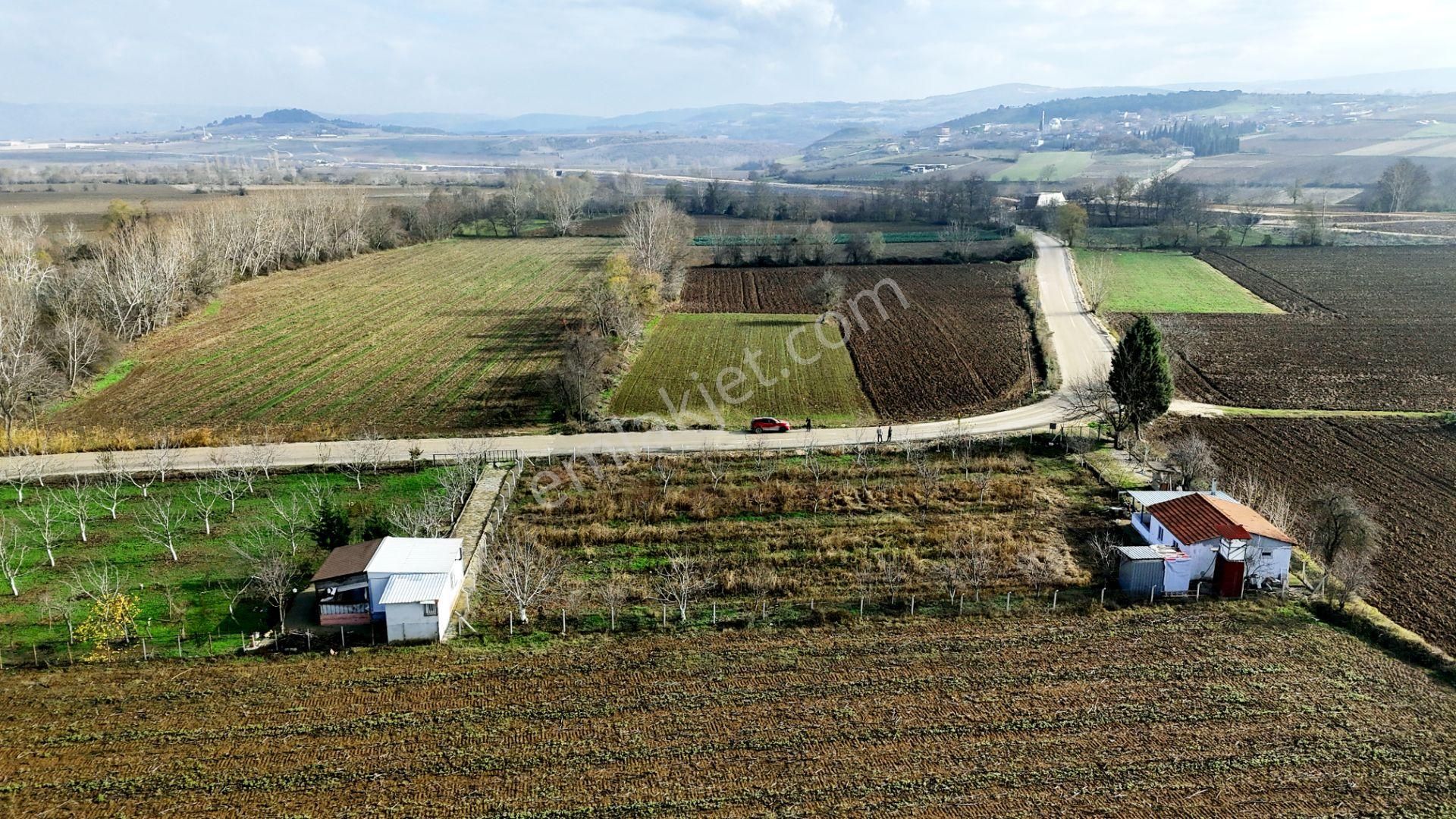 Yenişehir Papatya Satılık Tarla Yenişehir Papatya'da Asfalta Cephe 3000 M2 Tek Tapu Kupon Arazi