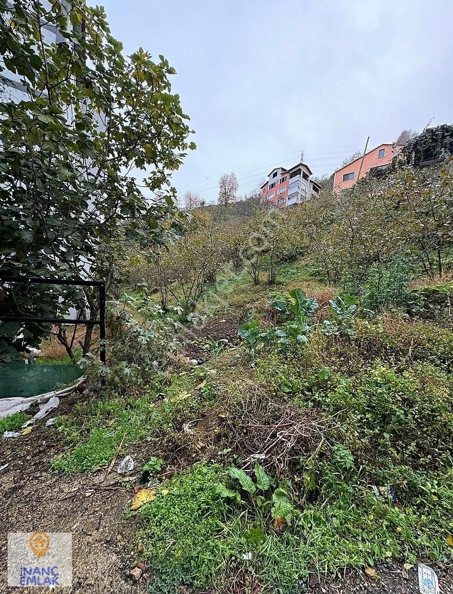 İnanç Emlaktan Teyyaredüzü Mah. 478 M2 İmarlı Arsa Satılıktır.