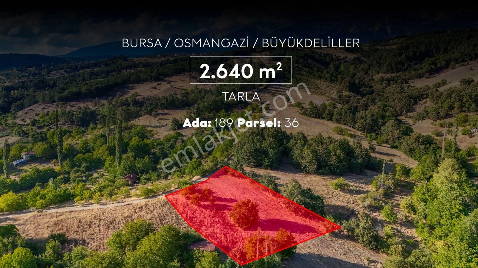 Osmangazi Büyükdeliller Satılık Tarla Remax Area'dan Büyükdeliller Köyünde Yola Cephe Fırsat Arazi