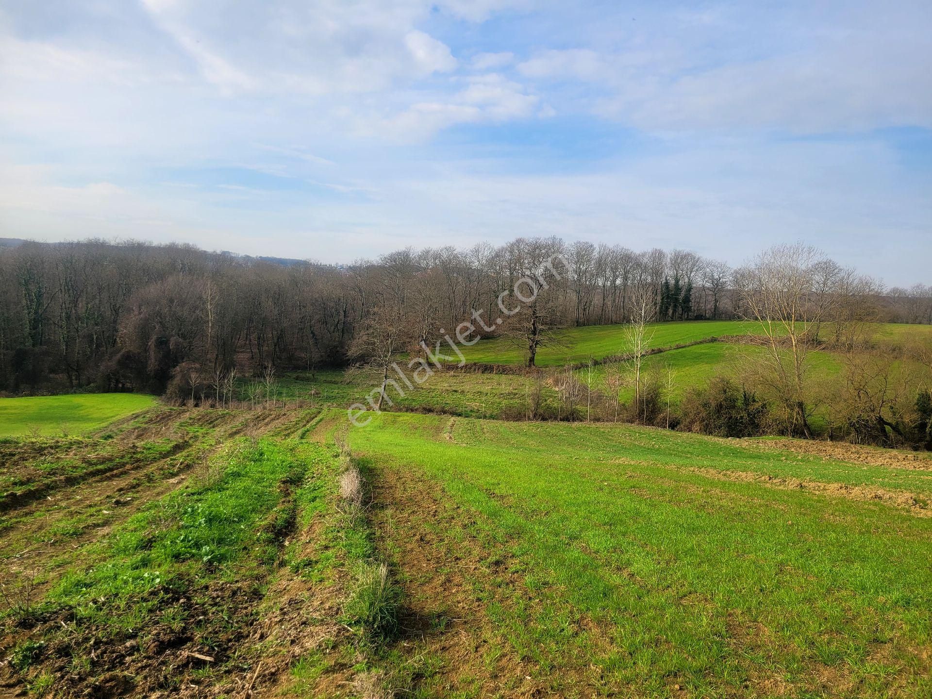 Bu Fiyata Bu Metraj Fırsat Yolsuz - Görsel 3