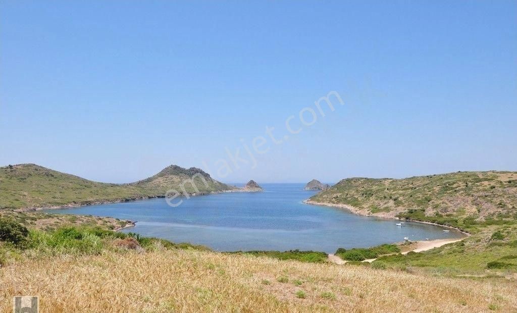 Yalıkavak Merkezde Satılık Daire Yabancıdan Eşyalı Uygun Ev Her Yere Düz Ayak Yakın Kaçmaz Konumda - Görsel 34