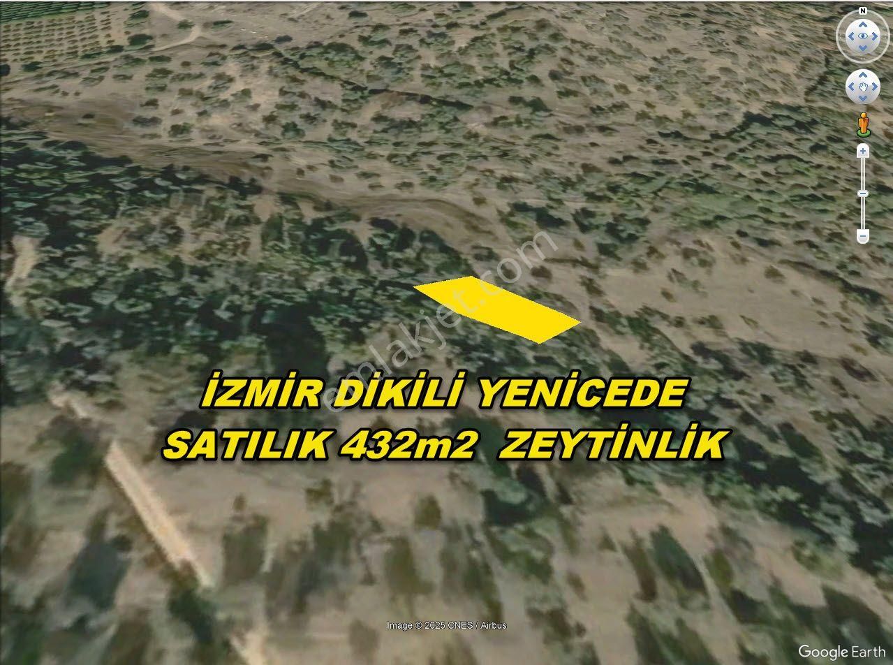 Dikili Yenice Satılık Zeytinlik İzmir Dikili Yenice,de Acil Satılık 432m2 Zeytinlik