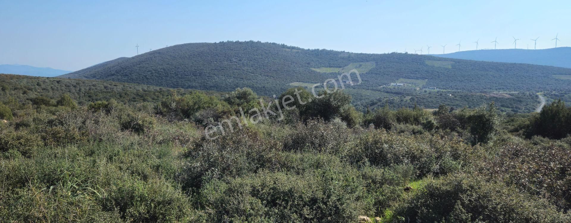 Satılık Arsa Didim Akyeniköy Mah Bozseki - Görsel 15