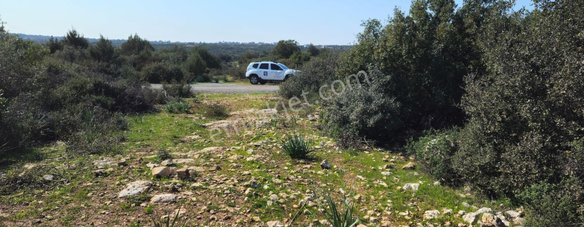 Satılık Arsa Didim Akyeniköy Mah Bozseki - Görsel 21