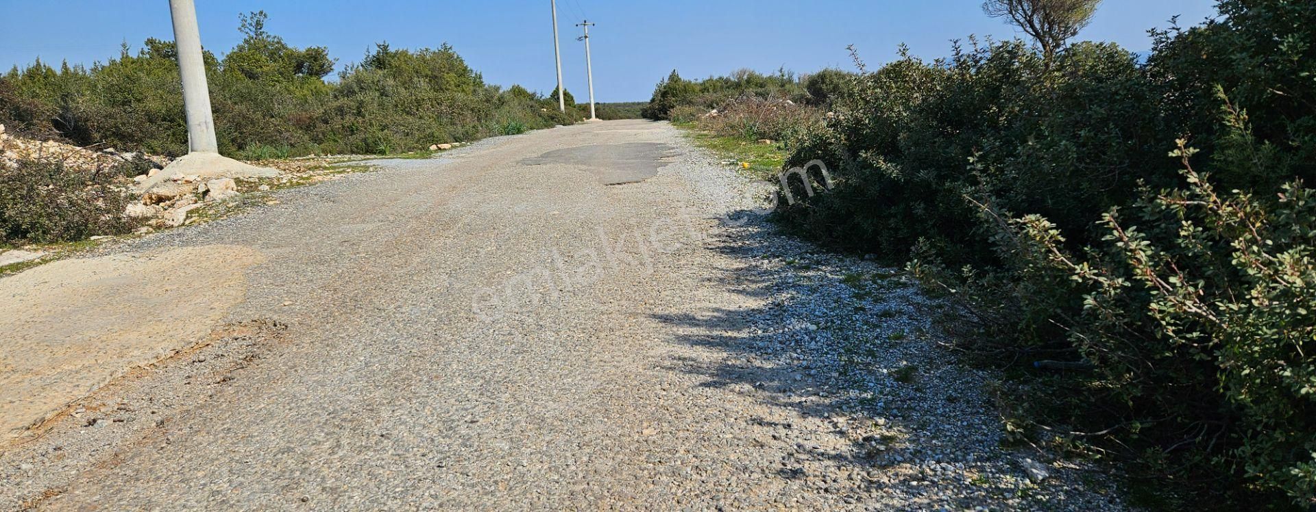 Satılık Arsa Didim Akyeniköy Mah Bozseki - Görsel 9