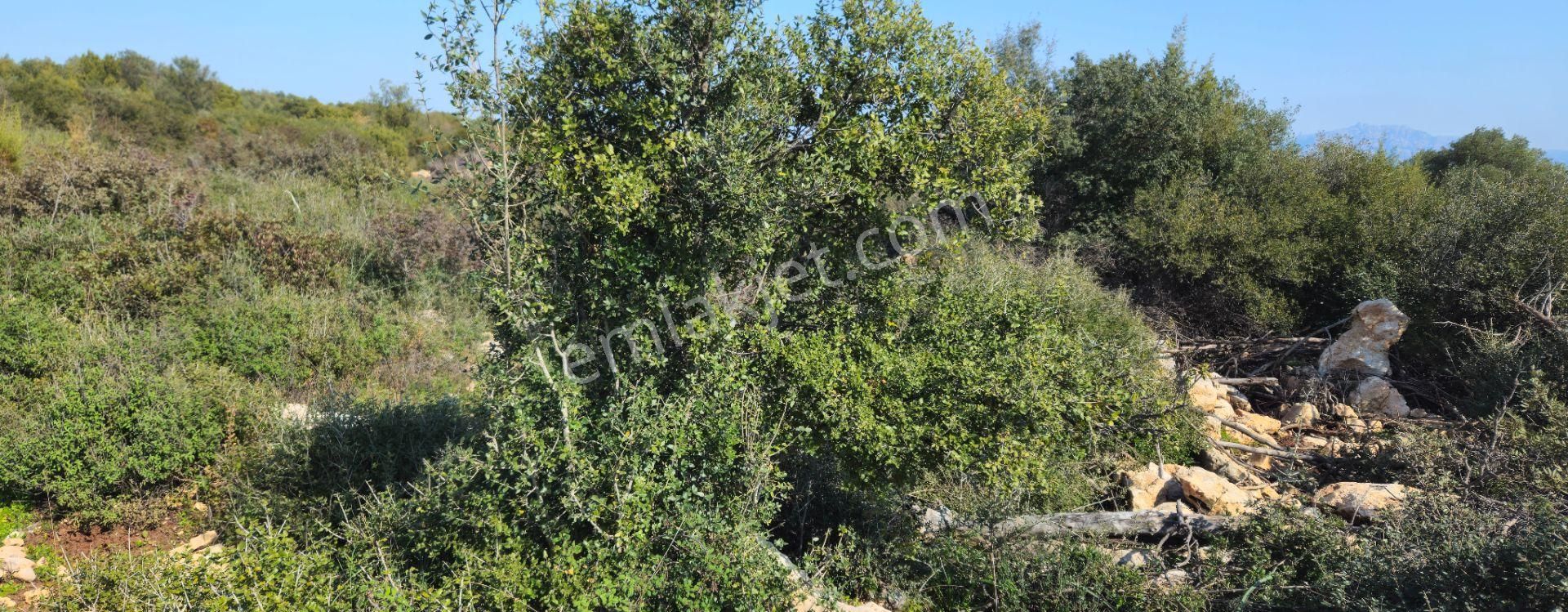 Satılık Arsa Didim Akyeniköy Mah Bozseki - Görsel 25