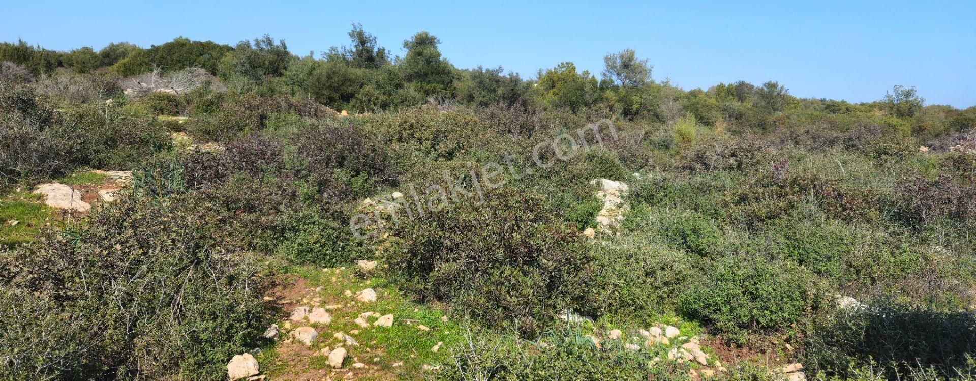 Satılık Arsa Didim Akyeniköy Mah Bozseki - Görsel 23