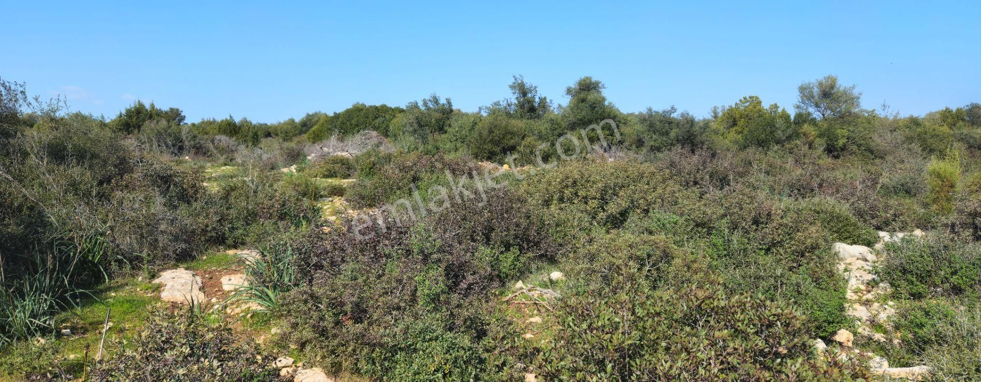 Satılık Arsa Didim Akyeniköy Mah Bozseki - Görsel 8