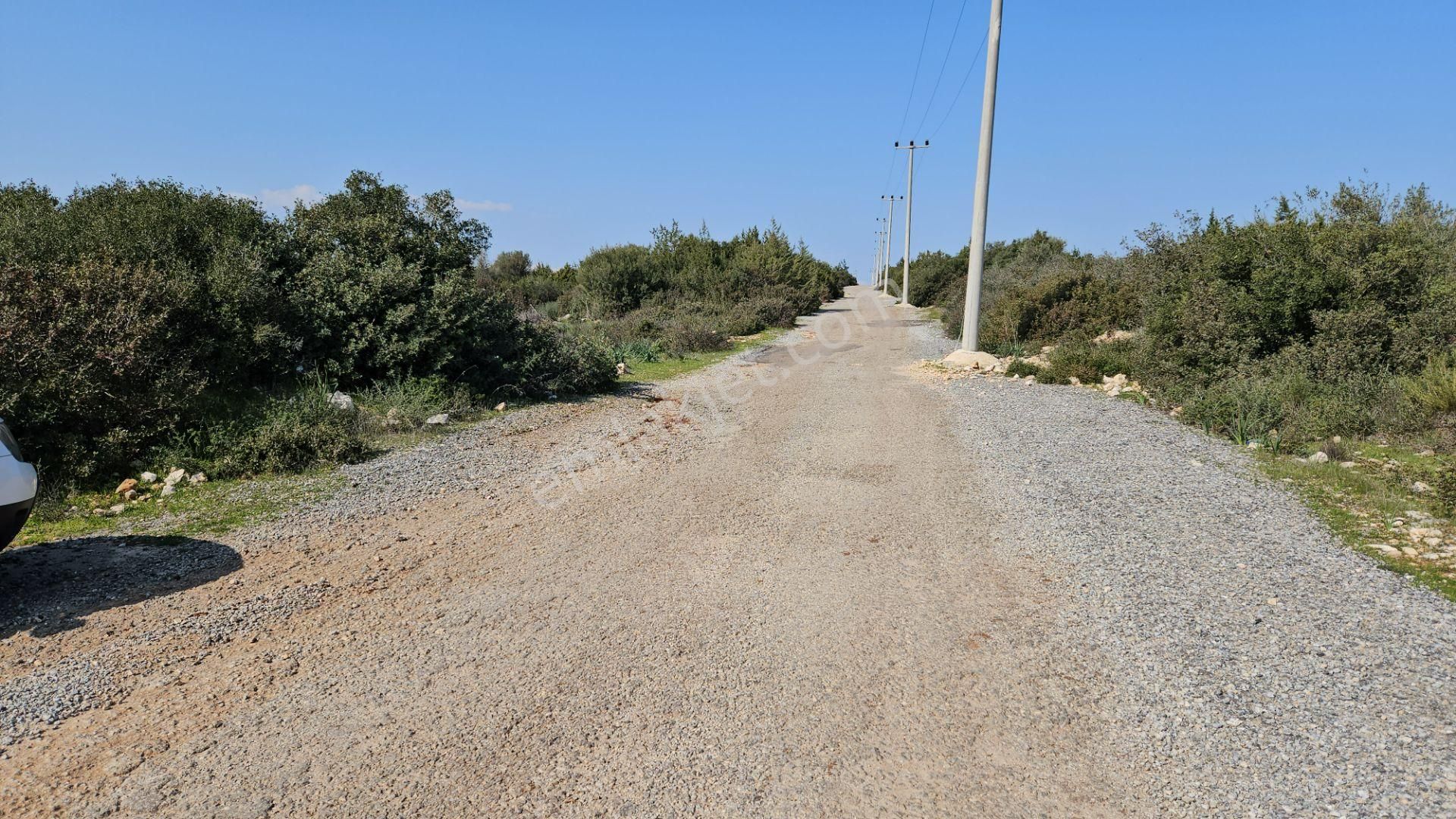 Didim Ak Yeniköy Satılık Villa İmarlı Satılık Arsa Didim Akyeniköy Mah Bozseki