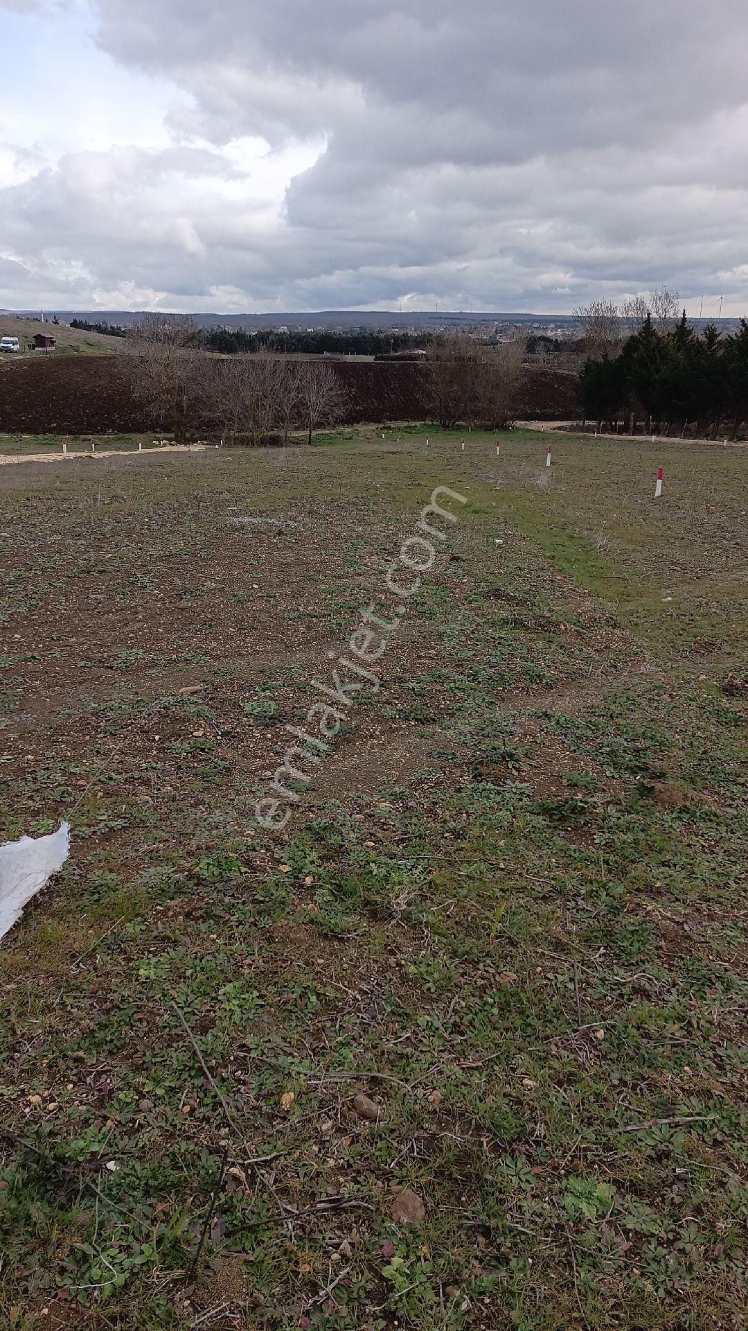 Satılık Kelepir Arsalar - Görsel 7