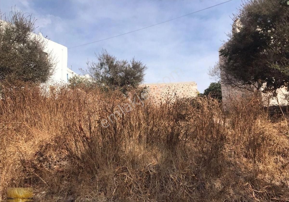 Bodrum Dağbelen De Satılık İmarlı Arsa Tarihi Taş Ev Yatırımlık Doğa İle İç İçe Bir Alanda - Görsel 15
