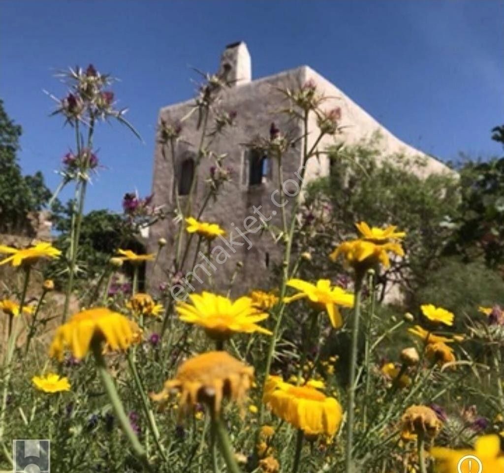 Bodrum Dağbelen Satılık Konut İmarlı Bodrum Dağbelen De Satılık İmarlı Arsa Tarihi Taş Ev Yatırımlık Doğa İle İç İçe Bir Alanda