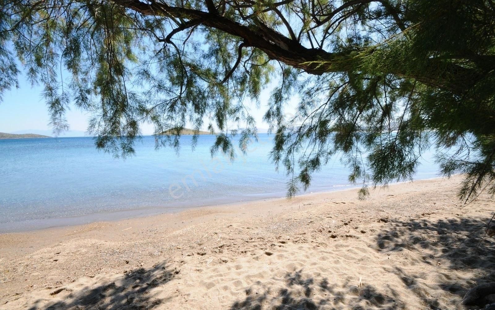 Bodrum Dağbelen De Satılık İmarlı Arsa Tarihi Taş Ev Yatırımlık Doğa İle İç İçe Bir Alanda - Görsel 17