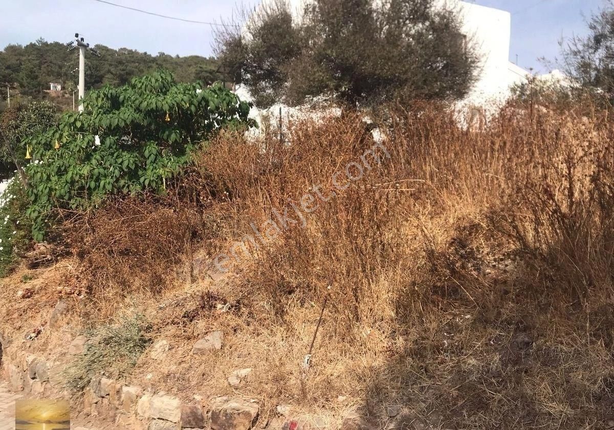 Bodrum Dağbelen De Satılık İmarlı Arsa Tarihi Taş Ev Yatırımlık Doğa İle İç İçe Bir Alanda - Görsel 35