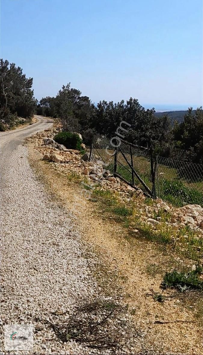 Silifke Yeşilovacık Satılık Tarla Yeşilovacık Ta Yola Sıfır Satılık Tarla