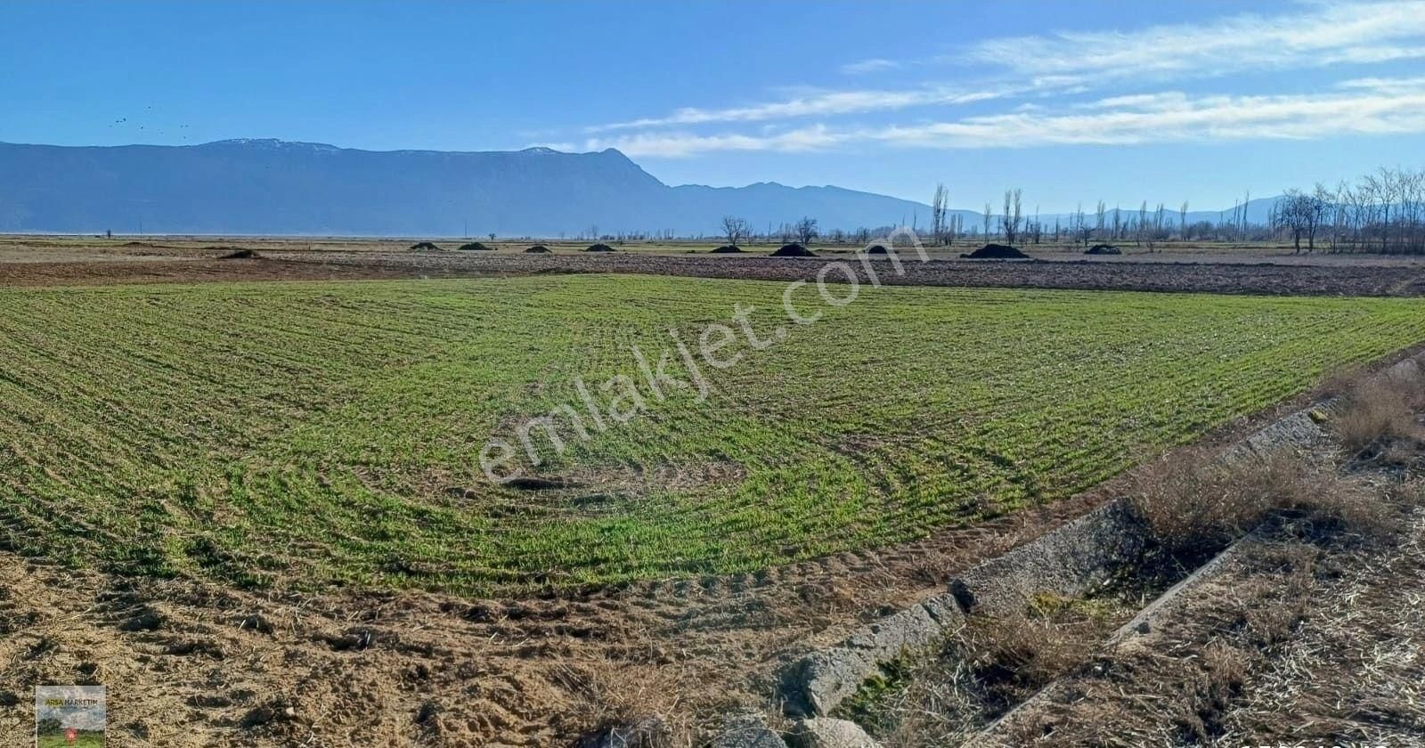 Dazkırı Yüreğil Köyü (Demirel) Satılık Tarla Dazkırı Esenetepe Mah.1338 M2 Yola Cepheli Tarla