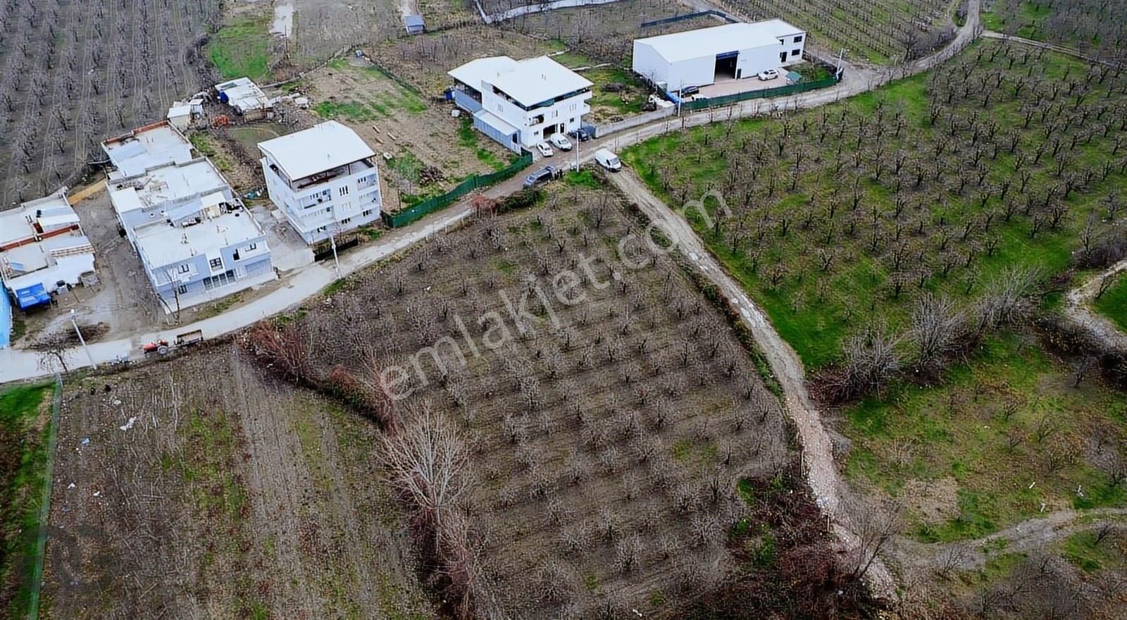 Yıldırım Vakıf Satılık Bağ & Bahçe Bursa Yıldırım Vakıf Köy'de Harika Konumda Bahçe