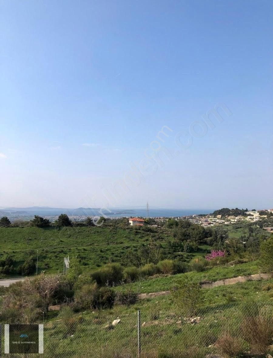 Urla Özbek 6.200m2 Denize 700 Metre Mesafede Eğrilimanda Tarla - Görsel 2