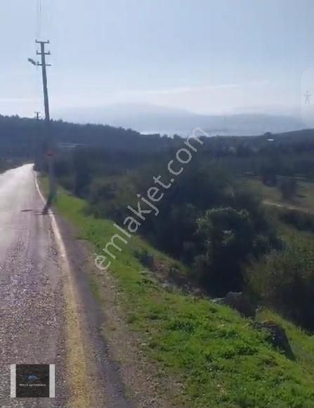 Urla Özbek 9.150m2 Köyiçi İmar 250m2 Konut Yapabilceğiniz Tarla - Görsel 7