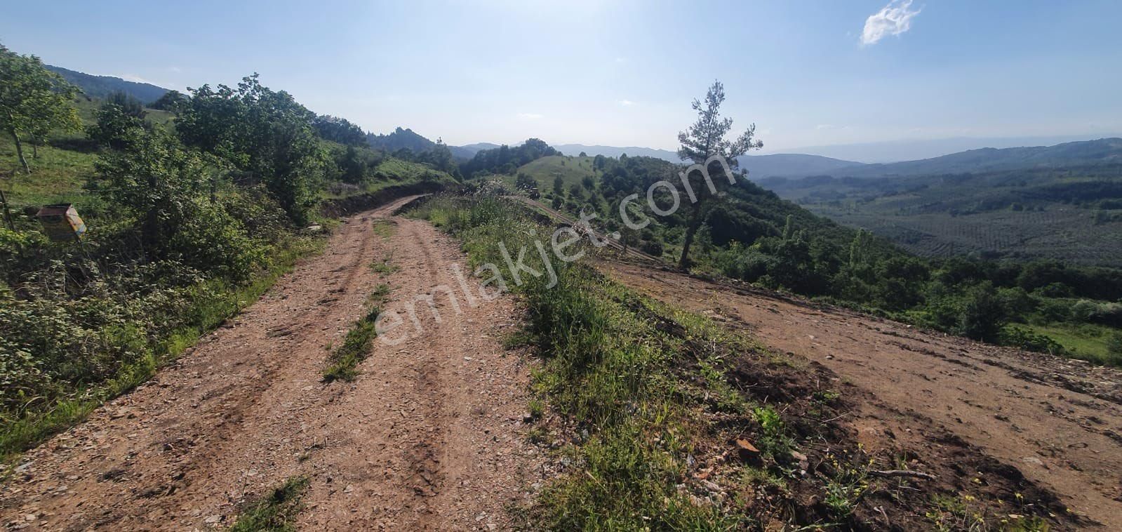 Gemlik Şükriye Satılık Tarla Canyapıdan Gemlik Şükriye De Satılık Arsa