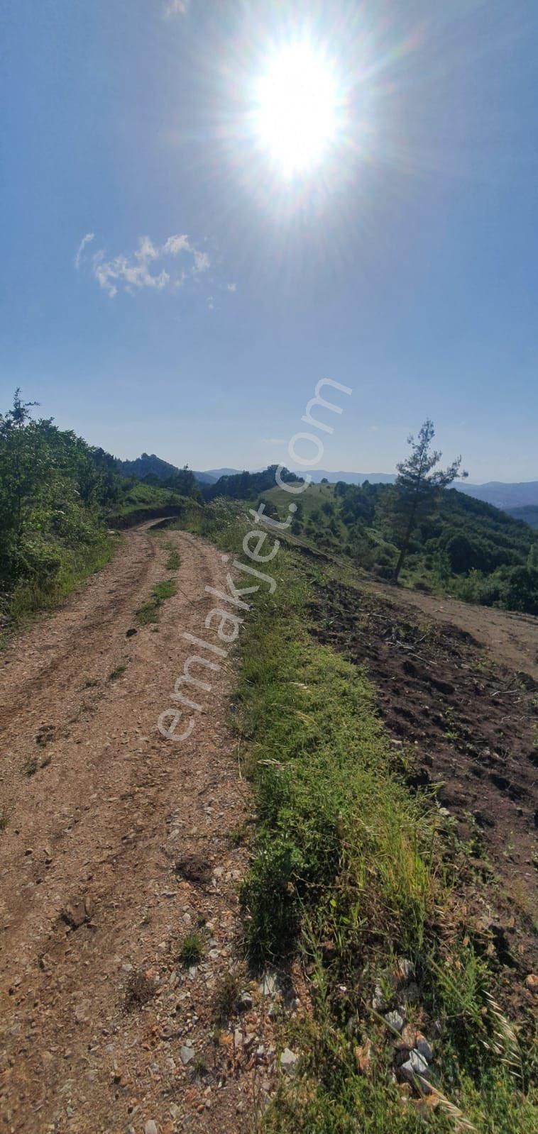 Gemlik Şükriye Satılık Tarla Canyapıdan Gemlik Şükriye De Satılık Arsa