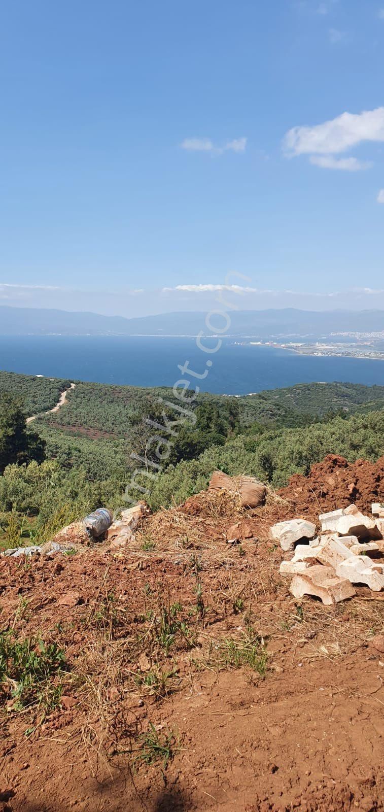 Osmangazi Gündoğdu Satılık Zeytinlik Canyapıdan Gündoğdu Da Deniz Gören Satılık Arsa