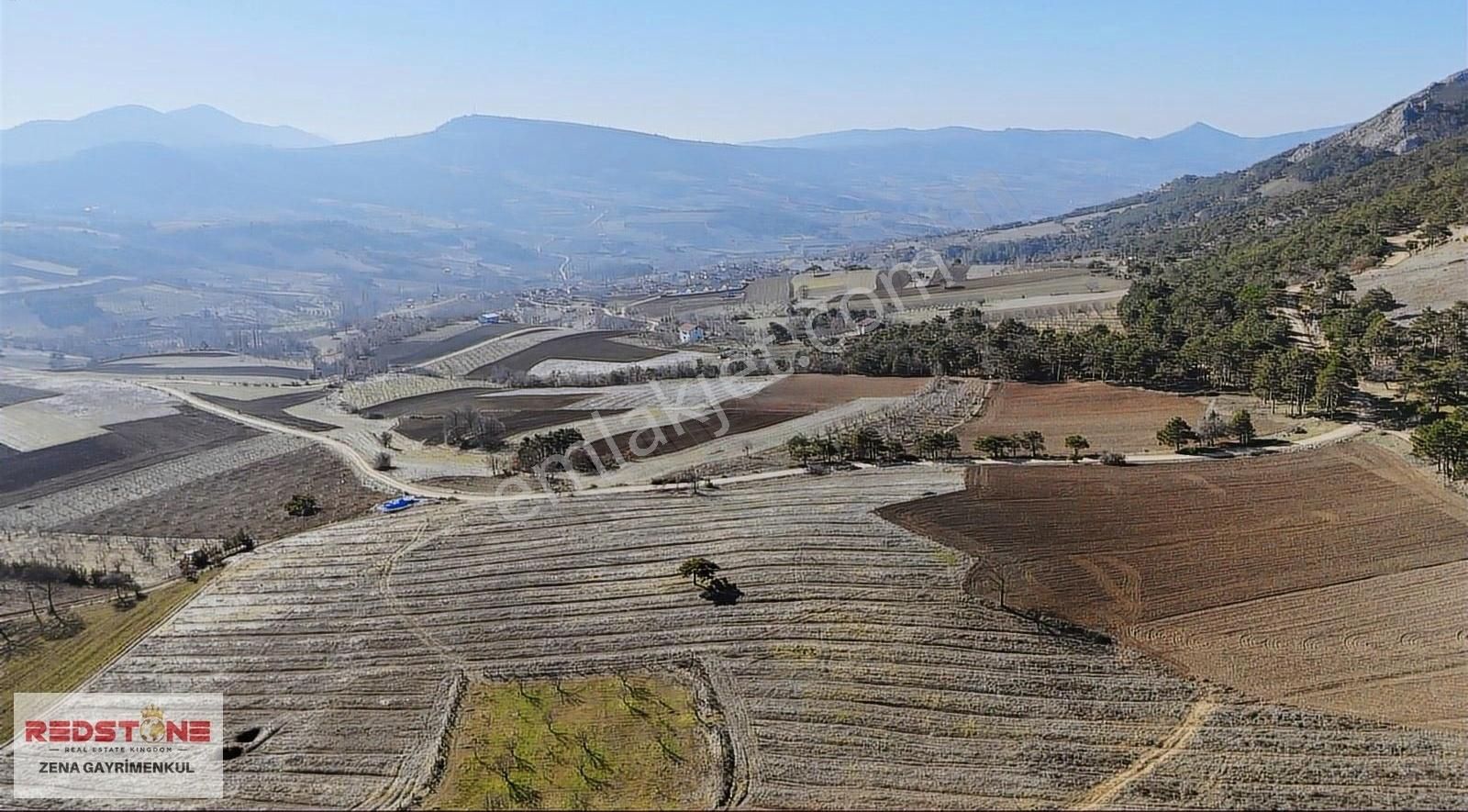 Geyve Çine Satılık Tarla Sakarya Geyve Çine 60 Dönüm Arazi