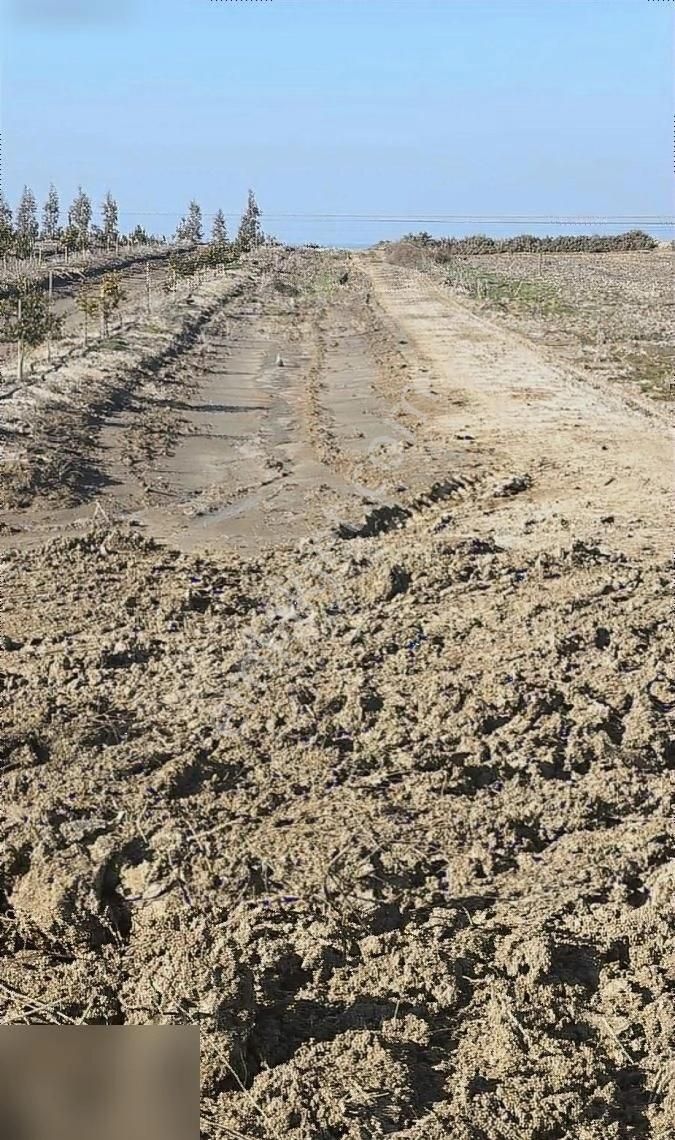 Karataş Karataş Satılık Bağ & Bahçe Karataş Gayrimenkulden Dalyan Doğa Deniz Manzaralı Satlık Tarla