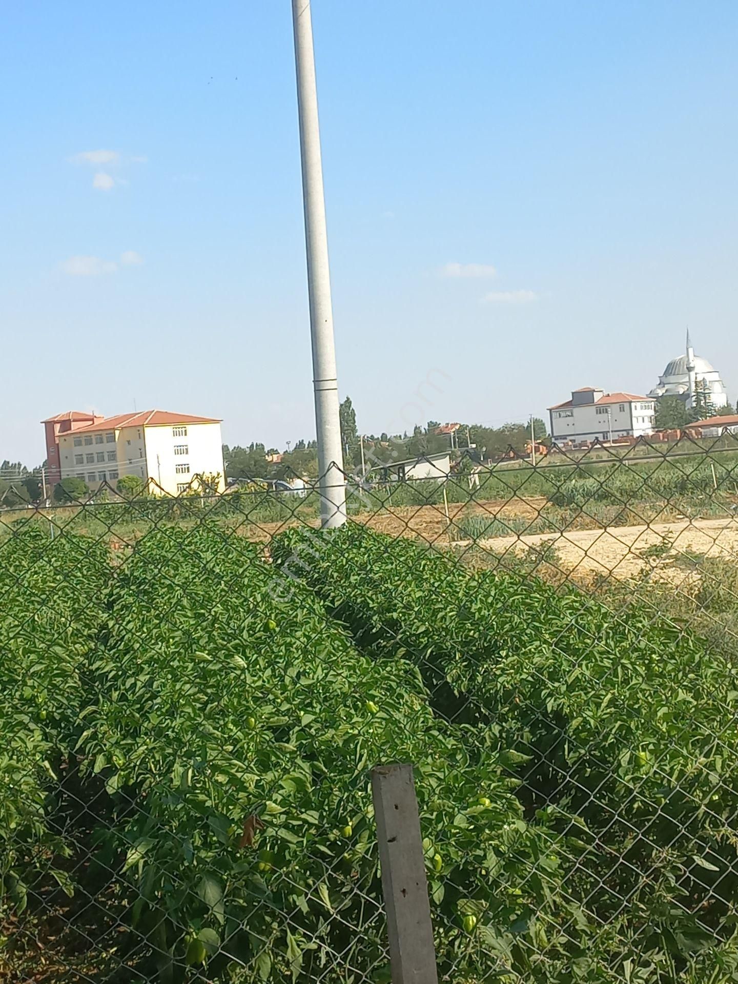 Tepebaşı Sakintepe Satılık Tarla Sakintepede Satılık Tarla Baron Emlak İnşaat Gayrimenkul