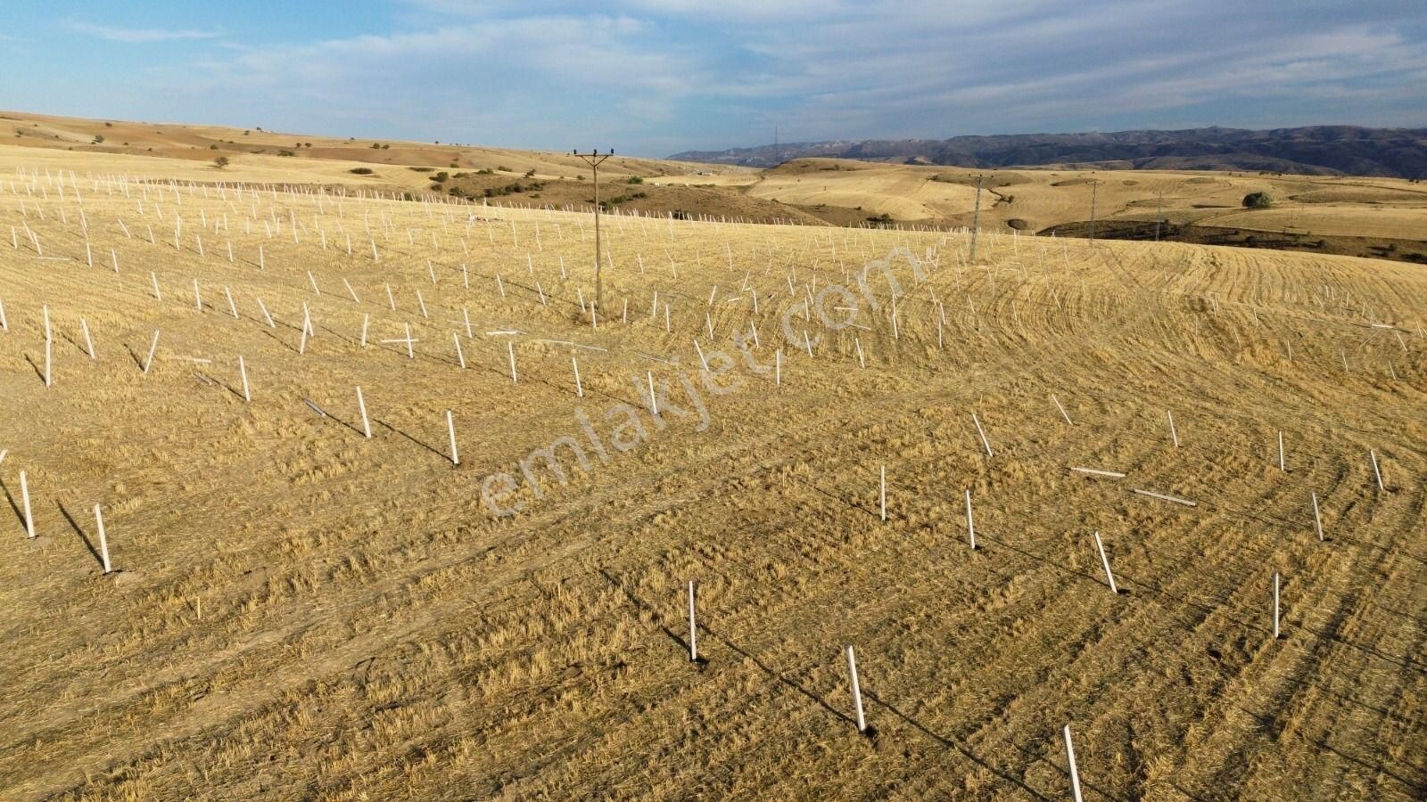 Akyurt Yeşiltepe Satılık Tarla 500 Metre Hobi Bahçesi