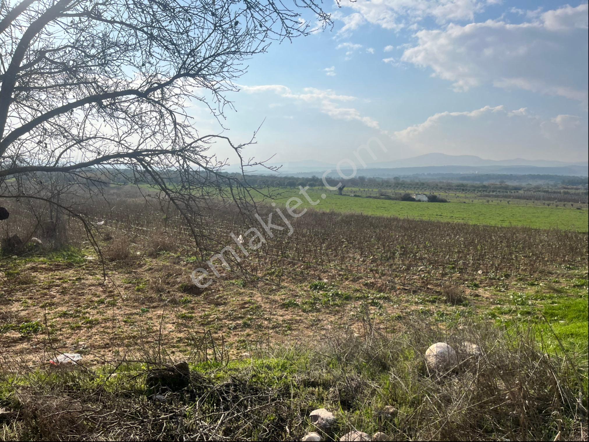 Paşaköy Sarıçam Arası Asvalt Dibinde 10400m2 Tek Tapu Satılık Tarla - Görsel 7