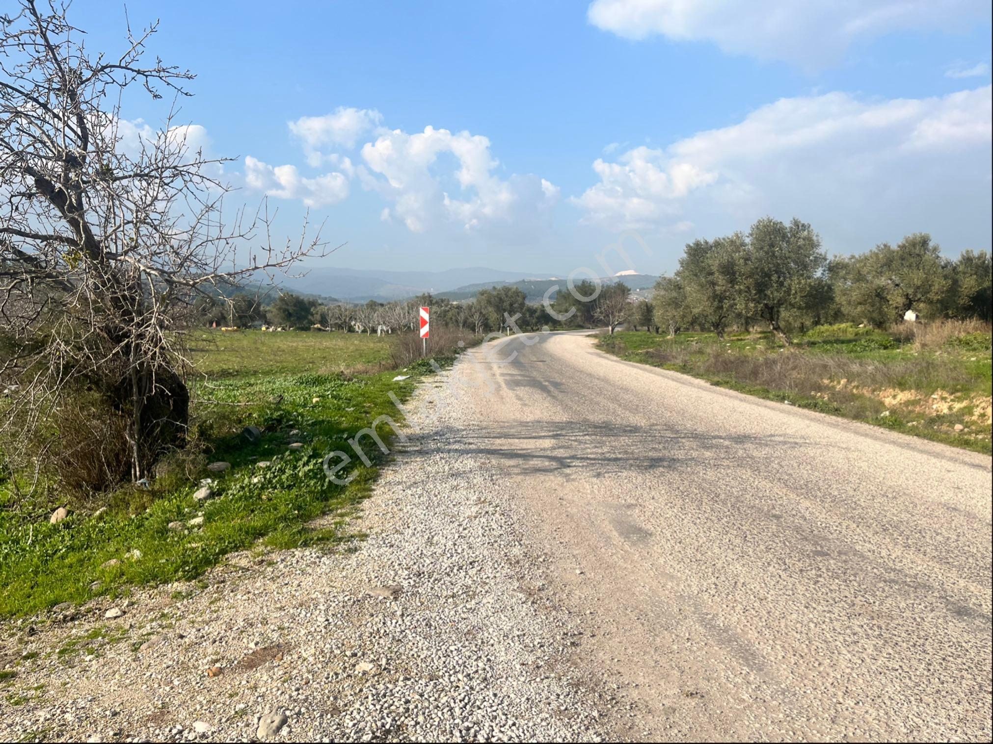 Paşaköy Sarıçam Arası Asvalt Dibinde 10400m2 Tek Tapu Satılık Tarla - Görsel 16