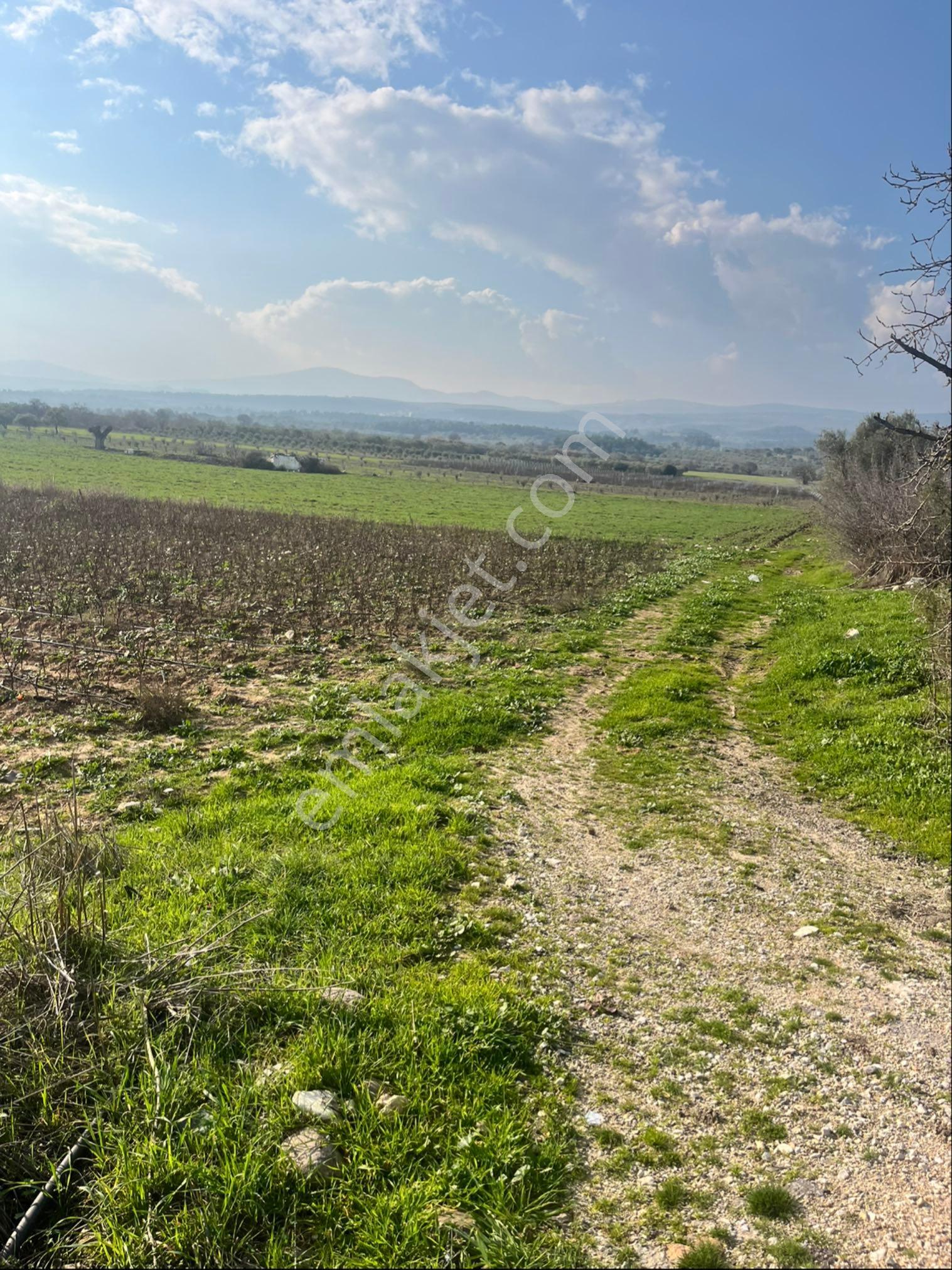 Paşaköy Sarıçam Arası Asvalt Dibinde 10400m2 Tek Tapu Satılık Tarla - Görsel 19