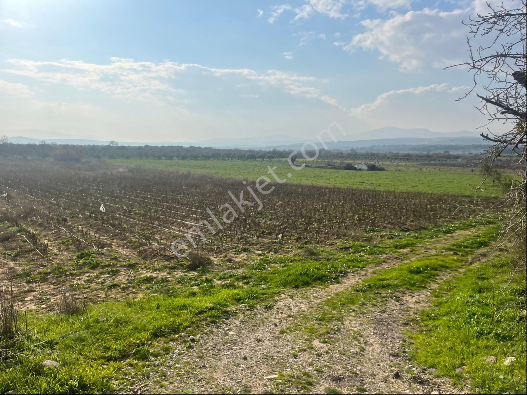 Paşaköy Sarıçam Arası Asvalt Dibinde 10400m2 Tek Tapu Satılık Tarla - Görsel 31