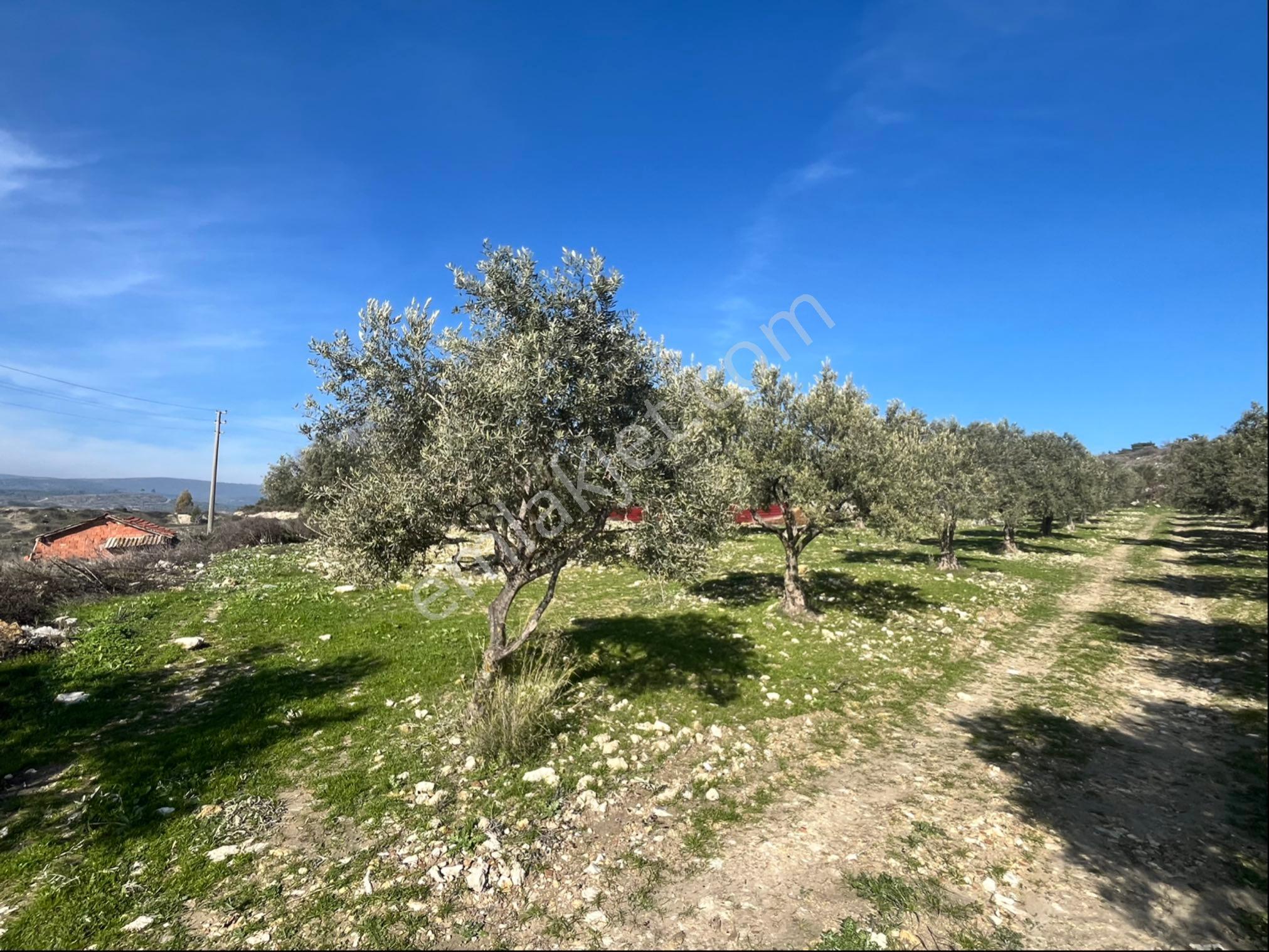 Sarıçam Mükemmel Manzaralı 700m2 Satılık İmarlı Arsa - Görsel 26