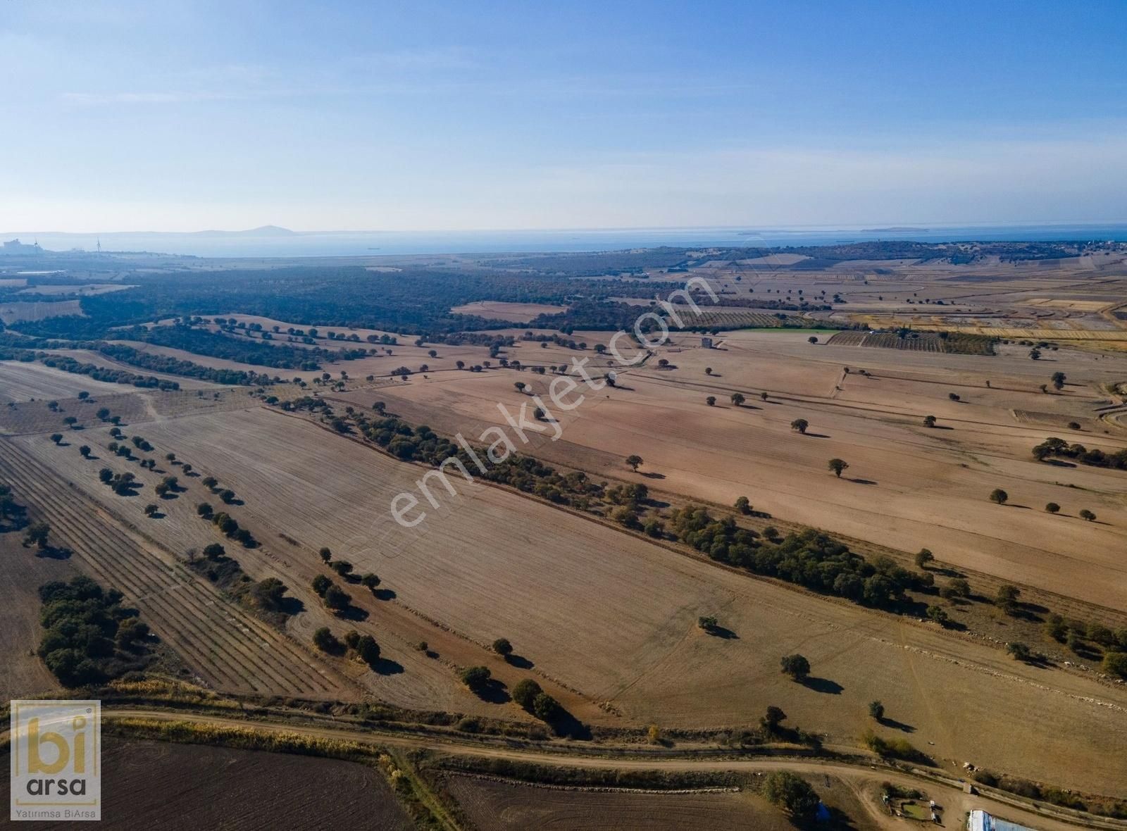 Ezine Mahmudiye Köyü (Atatürk) Satılık Tarla Ezine Mahmudiye'de 11.867m² Yolu Mevcut İyi Konumda Tarla