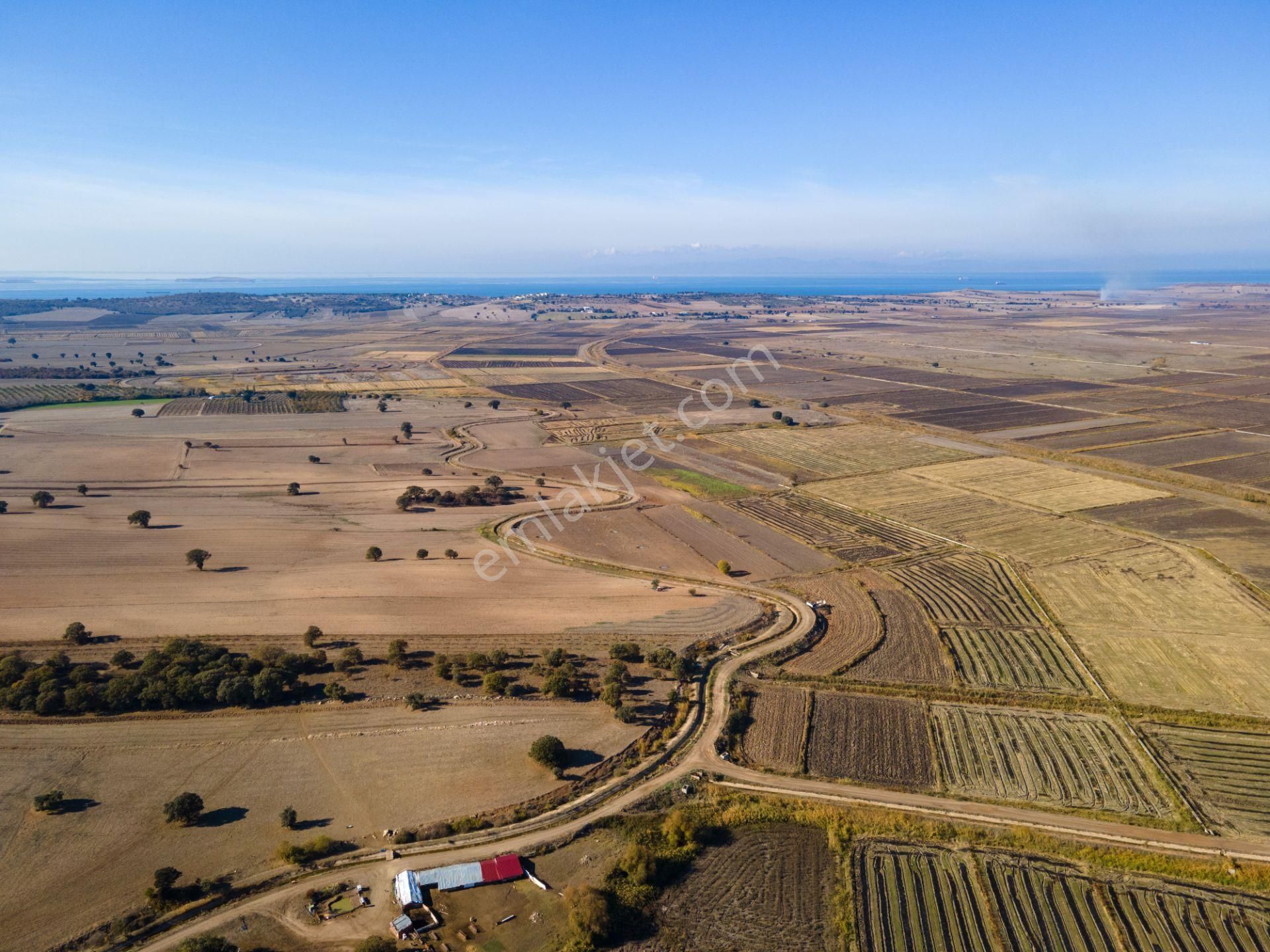 Ezine Mahmudiye'de 11.867m² Yolu Mevcut İyi Konumda Tarla