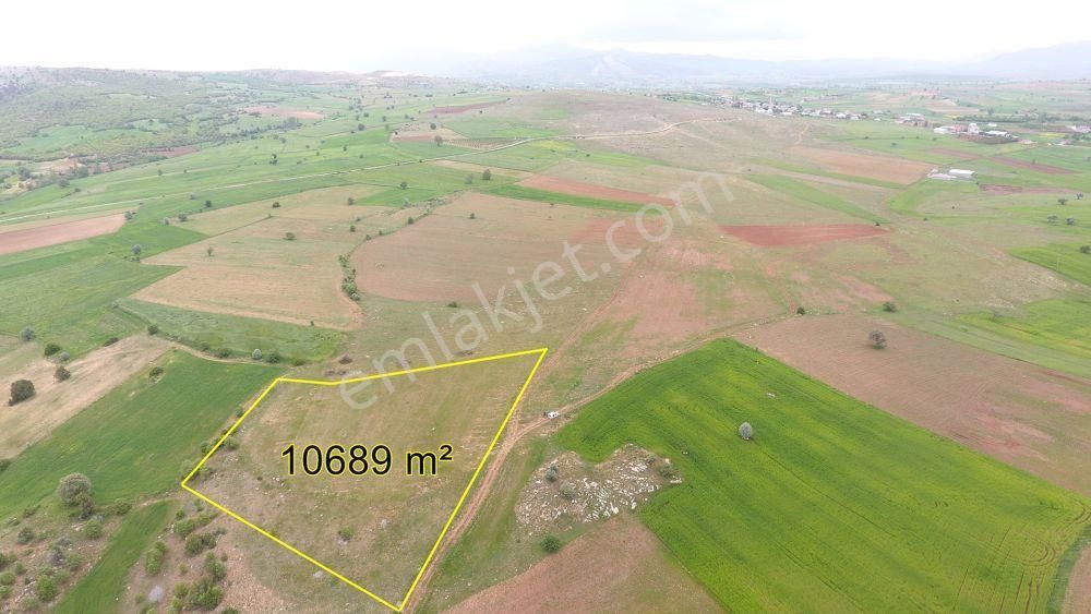 Derbent Saraypınar Satılık Tarla Konya / Derbent / Saraypınar Mahallesinde 10.689 M² Müstakil Tapulu Tarla