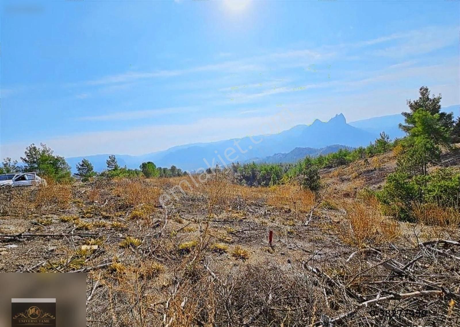 Sarıcakaya Camikebir Satılık Bağ & Bahçe Acil Kelepir Fiyata Eskişehir İn Antalya'sında 8500 M2 Bağ Yeri