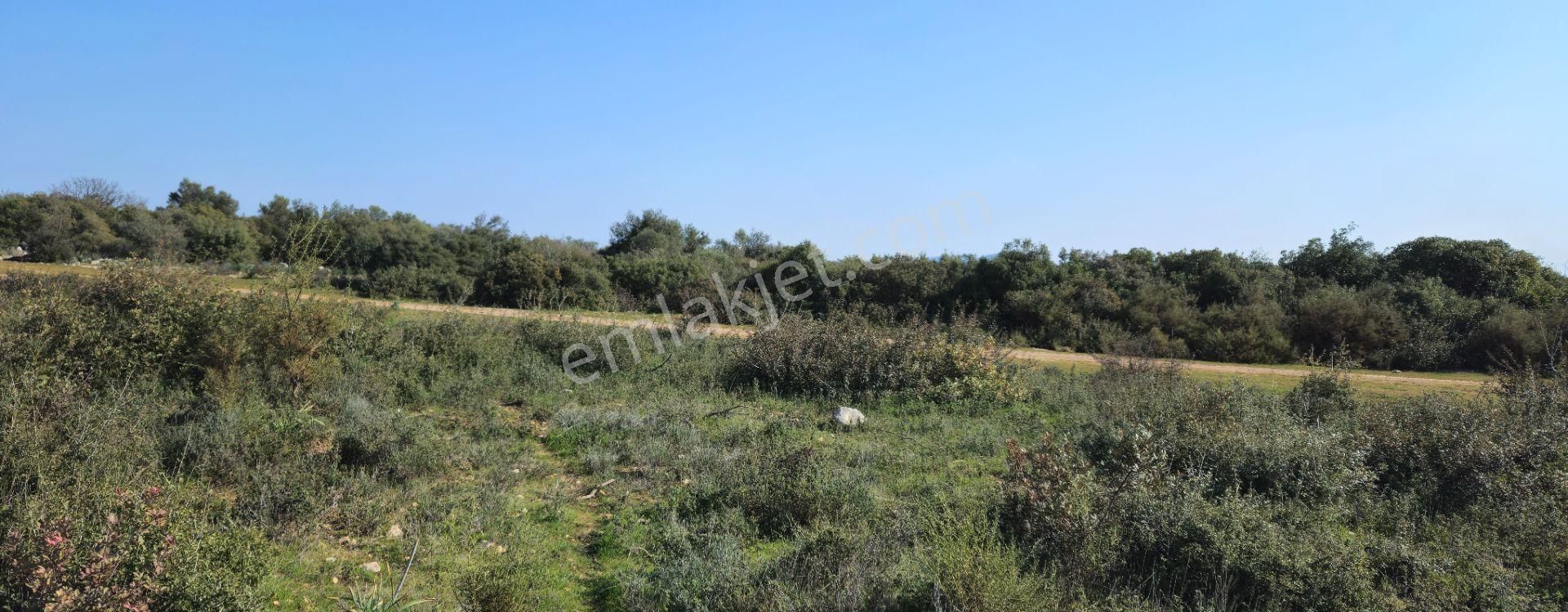 Satılık Arsa Didim Akyeniköy Mah Bozseki - Görsel 7