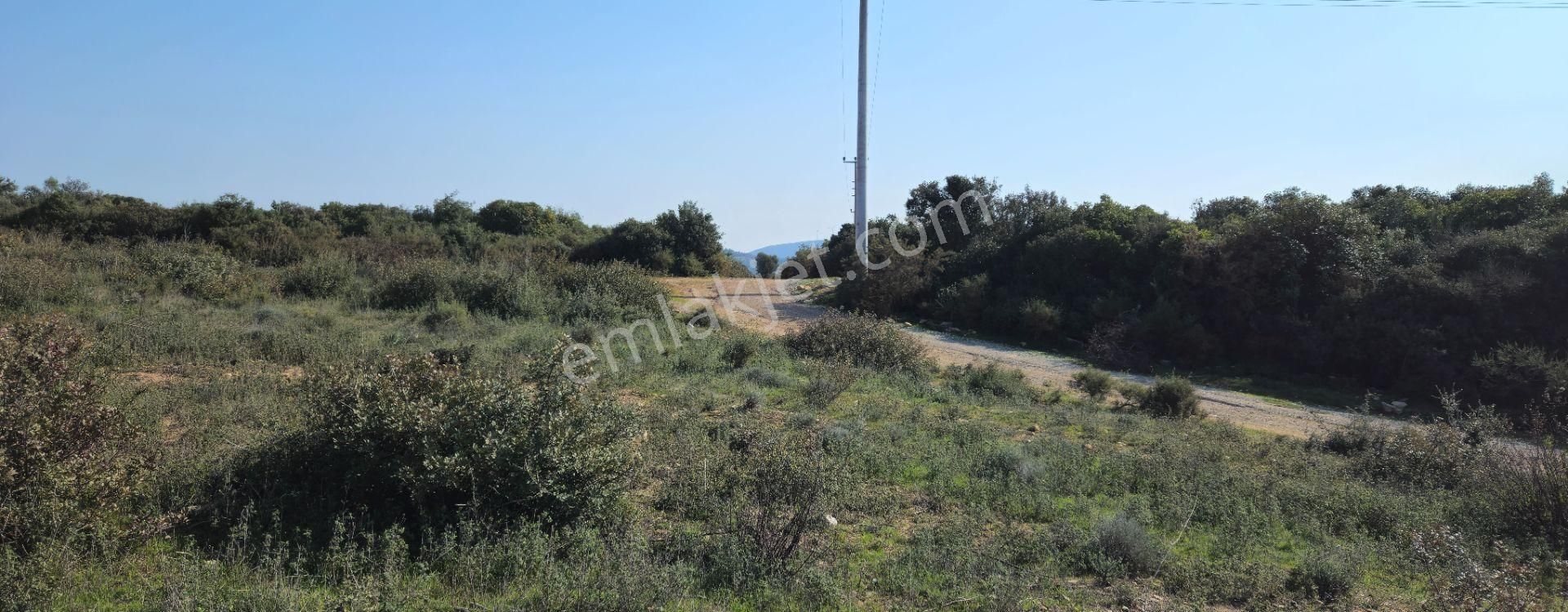 Satılık Arsa Didim Akyeniköy Mah Bozseki - Görsel 15