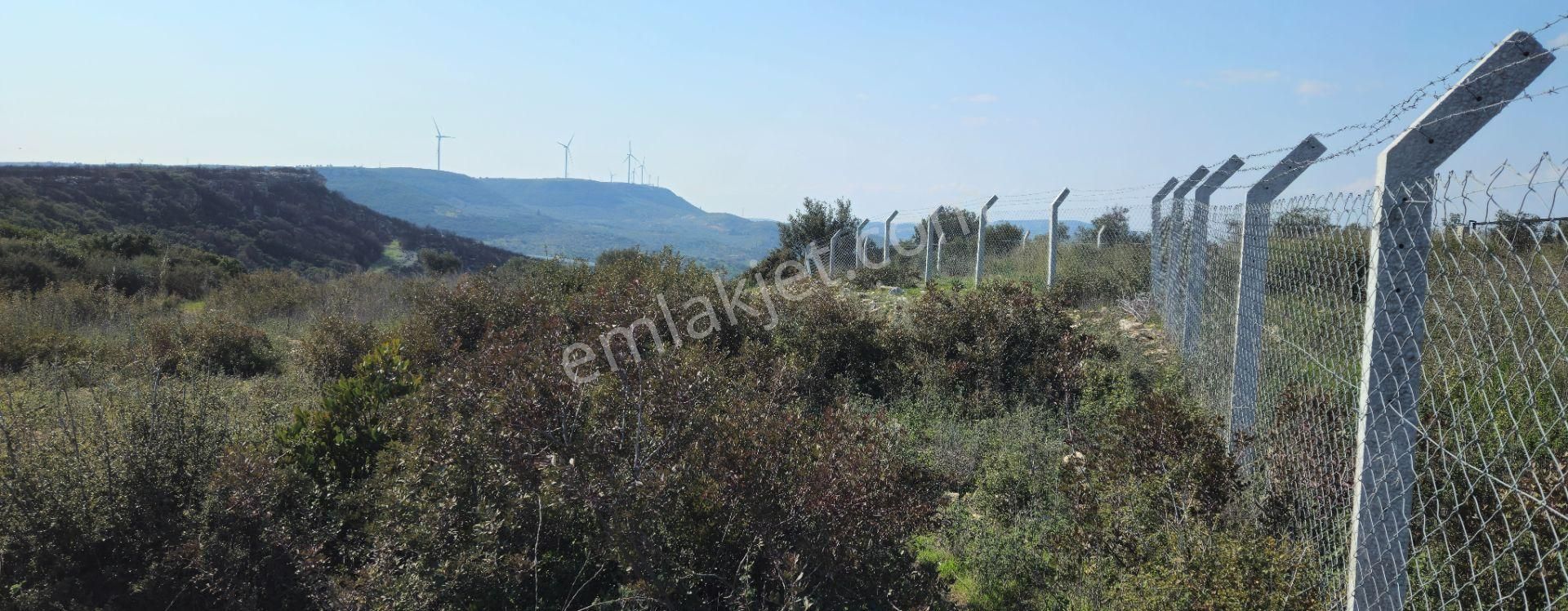 Satılık Arsa Didim Akyeniköy Mah Bozseki - Görsel 16