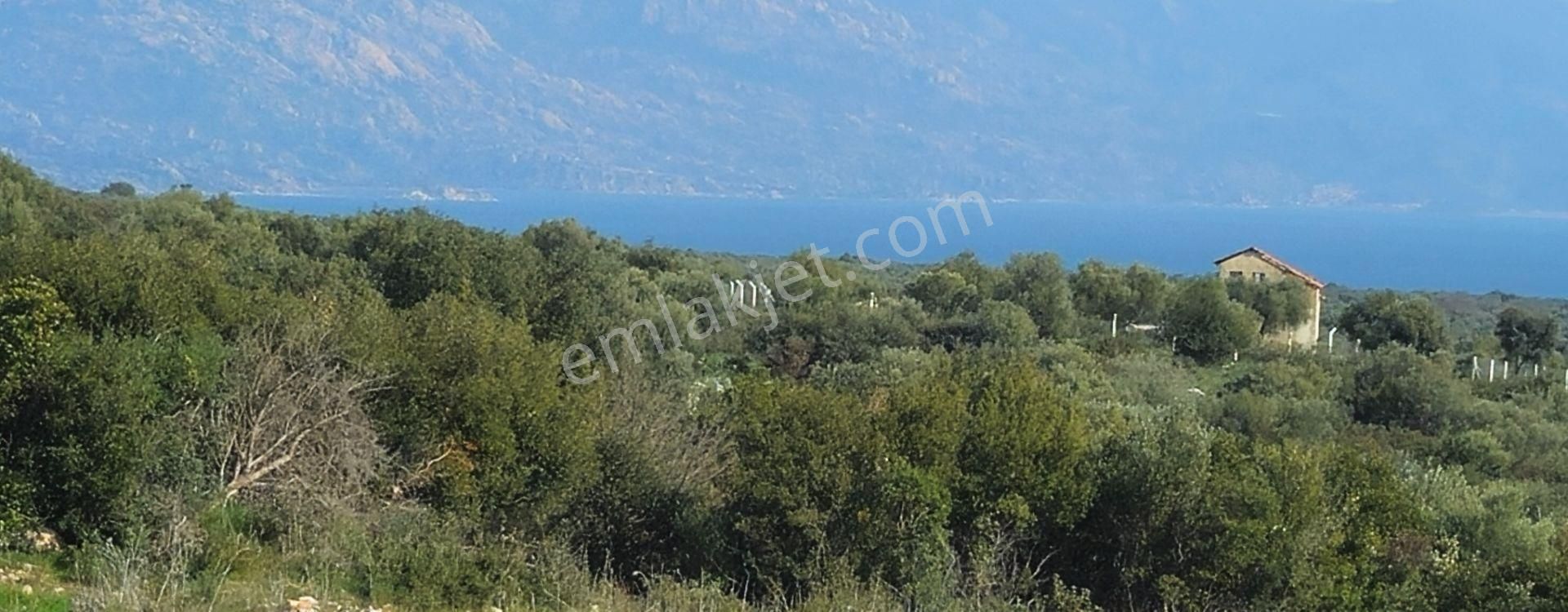 Satılık Arsa Didim Akyeniköy Mah Bozseki - Görsel 32