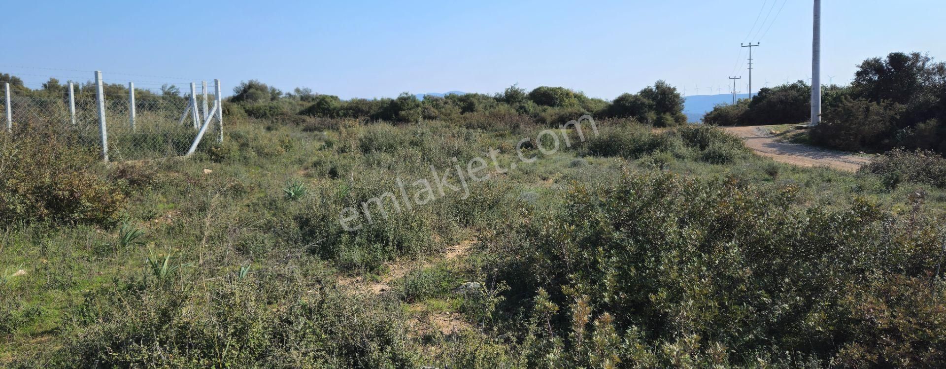 Satılık Arsa Didim Akyeniköy Mah Bozseki - Görsel 12